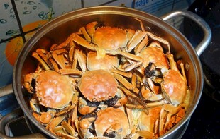 锅中满满螃蟹待烹饪