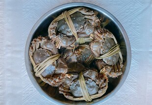 盆中捆绑的新鲜大闸蟹
