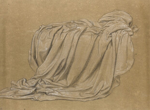 素描褶皱布料静物图