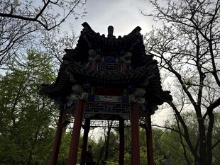 古亭立于葱郁林木间