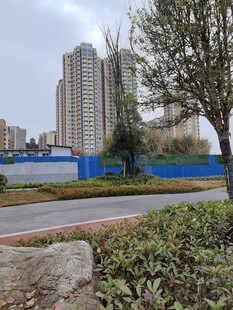 城市路边景观与高楼