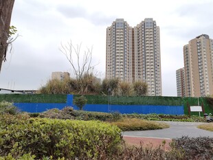 城市中的高楼与绿植景观