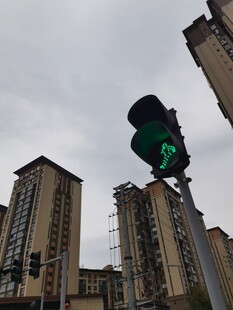 城市中亮起的绿色交通信号灯