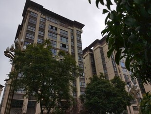 高层住宅旁的绿树景观