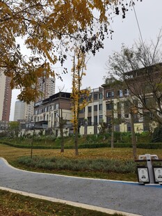 城市中的宁静校园景观
