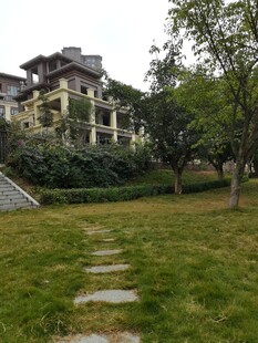 庭院小径旁的雅致建筑