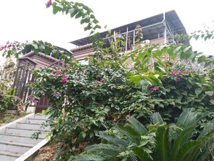 庭院绿植环绕的雅致小屋