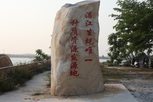 湛江生蚝刻字巨石景观