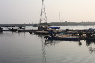 湛江港口停泊的船只与塔吊