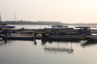 湛江河畔停泊的船只景观