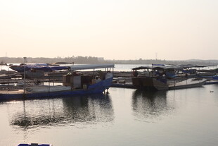 湛江水上停泊的船只景象