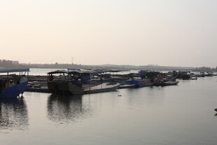 湛江宁静港湾中的停泊船只