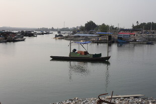 湛江宁静水乡小船悠然景致