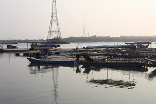 湛江宁静港湾中的停泊船只