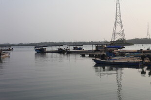 湛江宁静海港的停泊船只景象