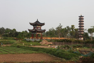 湛江田园中的中式古建筑景观