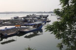 湛江河畔停泊的船只