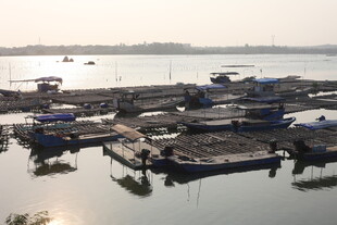 湛江水上码头停泊众多船只