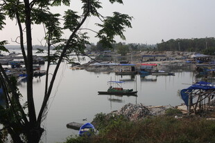 湛江湖畔停泊的多彩船只景观