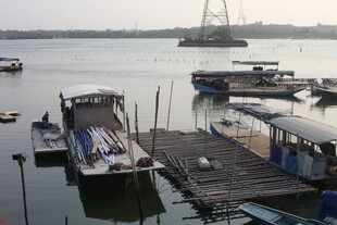 湛江宁静码头停泊的多艘船只