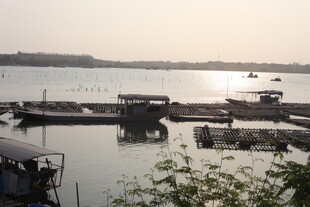 湛江湖畔码头静景