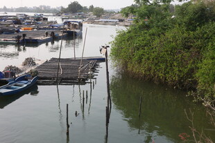 湛江河边码头停泊多艘船只