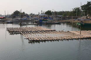 湛江宁静港湾中的木质浮码头