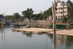 湛江河边建筑与停泊船只景象