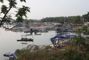 湛江宁静港湾的船只停泊景象