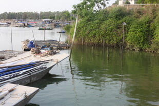 湛江河边停靠的船只与垂钓者