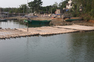 湛江河边停泊的船只与木筏