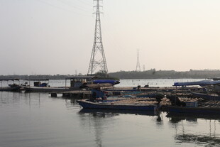 湛江港口停泊的船只与信号塔