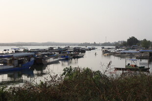 湛江宁静水上停泊船只景象