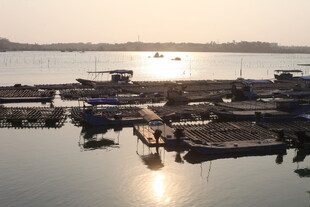 湛江夕阳下的宁静码头