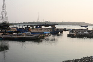 湛江宁静港湾中的停泊船只