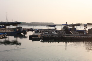 湛江港口停泊的船只景象