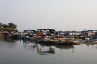 湛江水上停泊的多彩船只