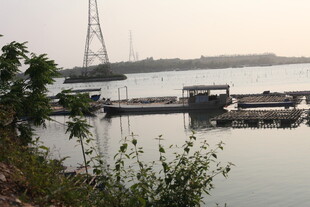 湛江江边码头景象