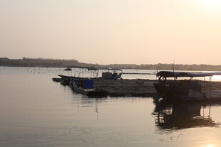 湛江夕阳下的宁静码头景象