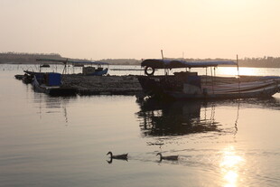湛江夕阳下宁静的湖面船只景象