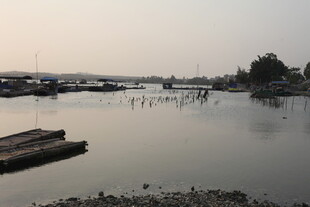 湛江宁静湖畔码头的黄昏景致