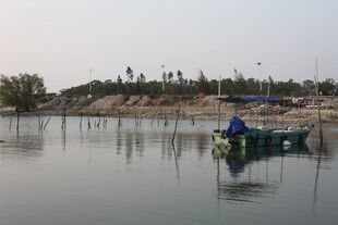 湛江水上小船静谧景象