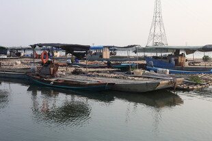 湛江码头停泊的船只景象