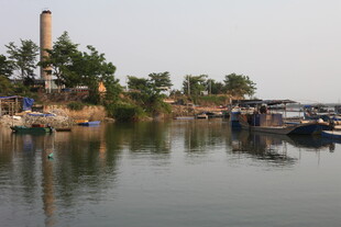 湛江河畔停泊船只的宁静景象