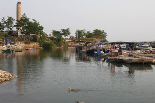 湛江宁静河畔的停泊景象