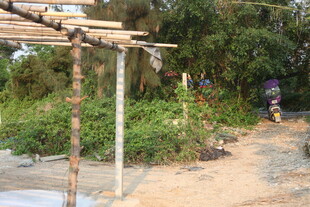 湛江户外木质花架小径景观