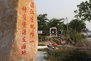 湛江生蚝石碑景观