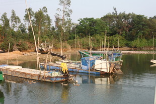 湛江河畔停泊的多彩船只