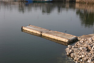 湛江湖边木质码头伸向水面