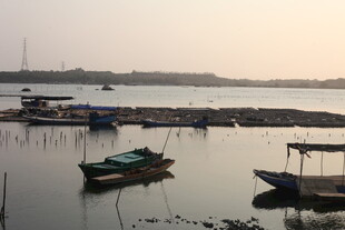 湛江宁静港湾中的停泊小船